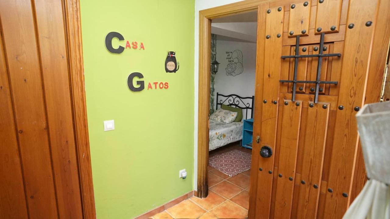 Casa Gatos Apartment โตเลโด ภายนอก รูปภาพ