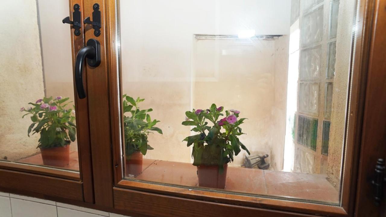 Casa Gatos Apartment โตเลโด ภายนอก รูปภาพ