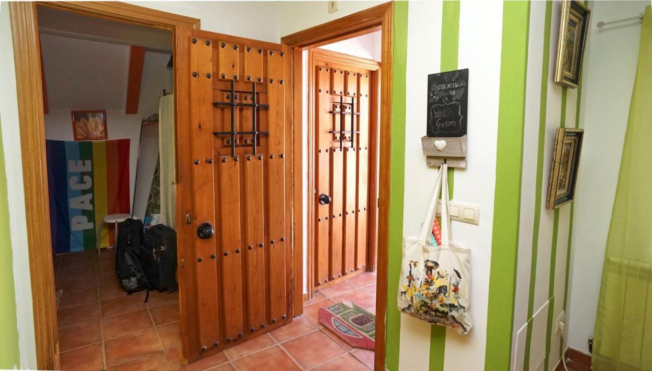 Casa Gatos Apartment โตเลโด ภายนอก รูปภาพ